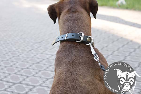 Leather Boxer Collar with Strong Brass Buckle and D-Ring