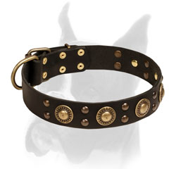 Leather Boxer Collar for Stylish Walking