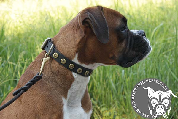 Leather Dog Collar with Circles with Dots