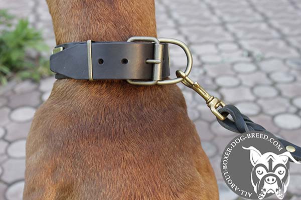 Buckled Leather Collar for Boxer 