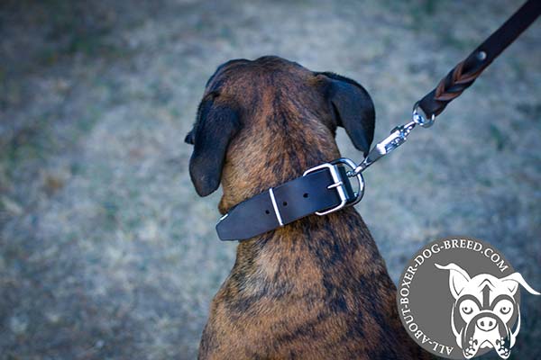 Leather Boxer Collar with Steel Nickel Plated Buckle