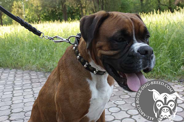 Fancy Leather Boxer Collar