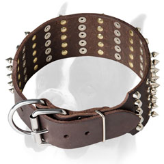 Extra wide collar for easy controlling your Boxer