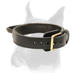 Boxer Leather Agitation Collar With Soft Protection Plate
