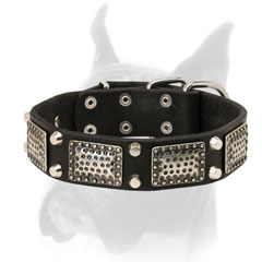 Luxury decorated leather Boxer collar with old style nickel plates and studs
