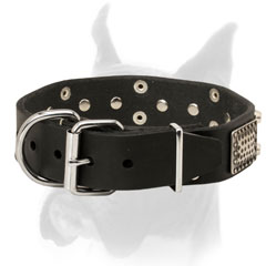 Luxury decorated leather collar with nickel hardware for Boxer