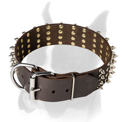 Rust proof hardware for Boxer collar