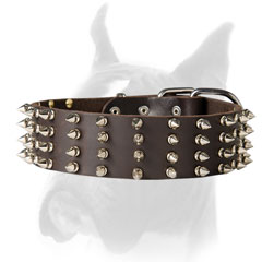 Spiked Boxer collar