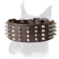 Spiked and studded Boxer collar