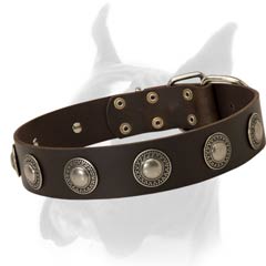 Wide Leather Collar with Silver Plated Ornament