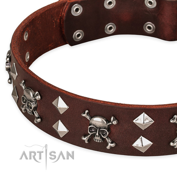 Day-to-day leather dog collar for fail-safe use