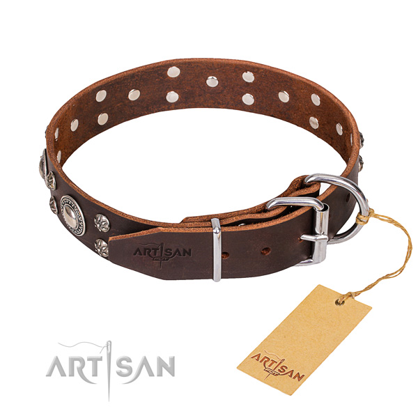 Stylish leather collar for your darling pet