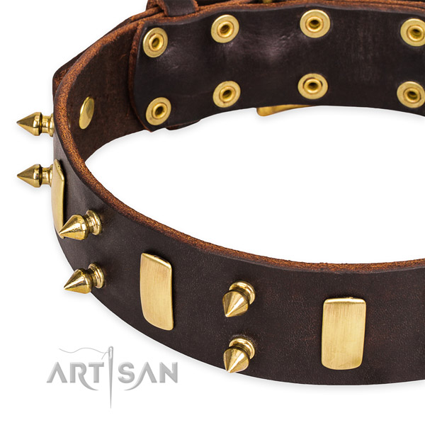 Easy to put on/off leather dog collar with extra strong brass plated buckle and D-ring