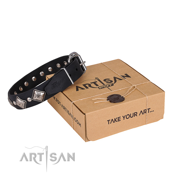 Casual leather dog collar with astounding studs
