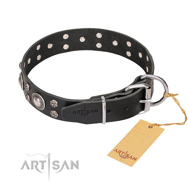 Full grain leather dog collar with thoroughly polished surface