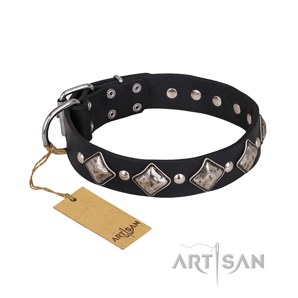 Genuine leather dog collar with polished leather strap