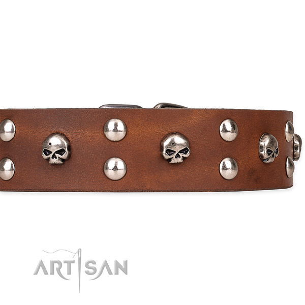 Full grain leather dog collar with polished surface