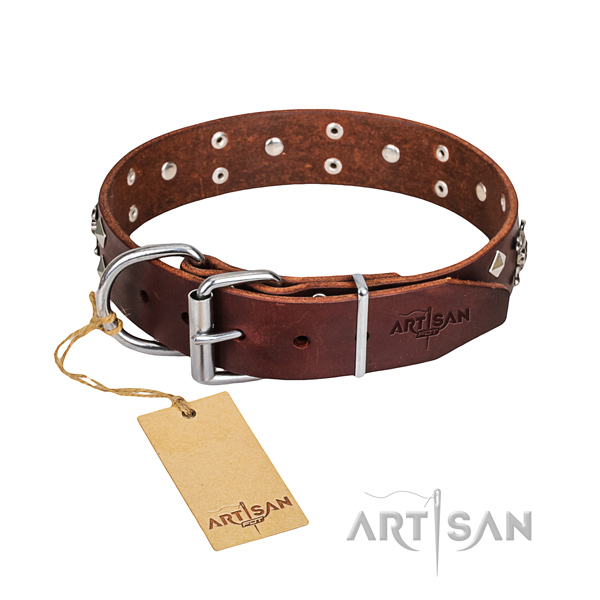 Reliable leather dog collar with rust-resistant elements