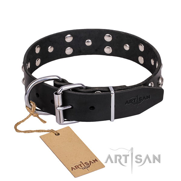 Durable leather dog collar with reliable details