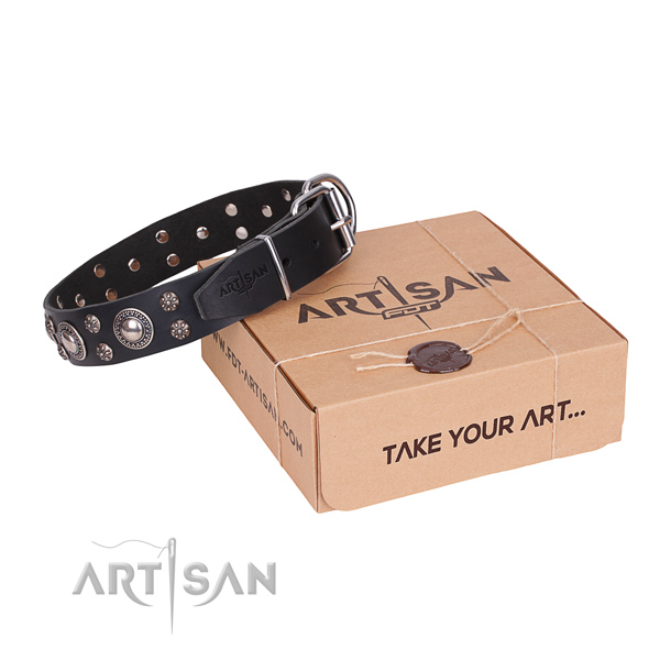 Day-to-day leather dog collar with amazing decorations