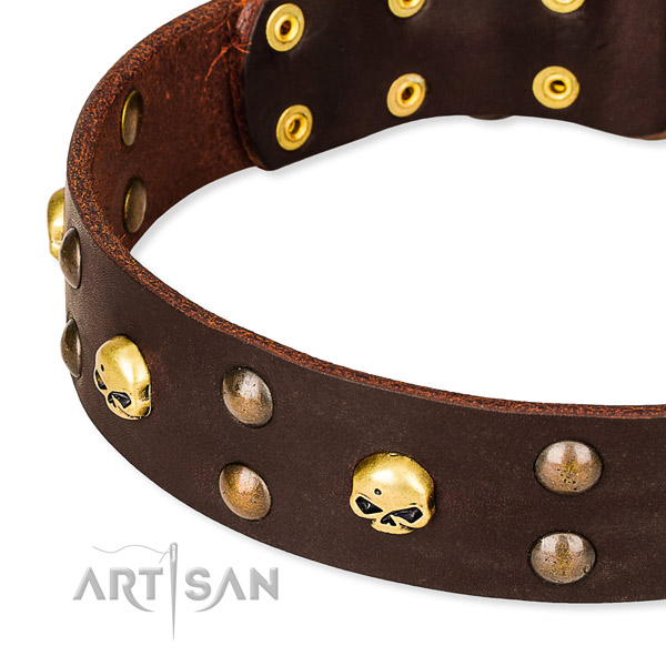 Everyday leather dog collar for safe pet control