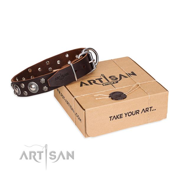 Day-to-day leather dog collar with luxurious decorations