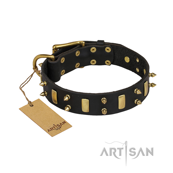Genuine leather dog collar with thoroughly polished leather strap