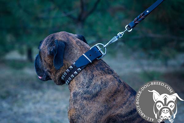 Leather Dog Collar with Reliable Buckle and D-Ring for Boxer