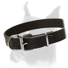 Full Grain Leather Collar for Boxers 30 mm Wide
