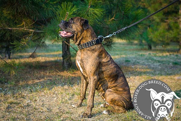 Safe Leather Dog Collar for Boxer