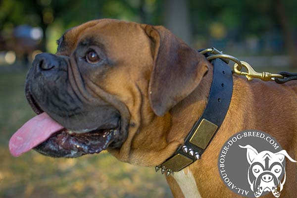 Reliable Leather Boxer Collar for Walking