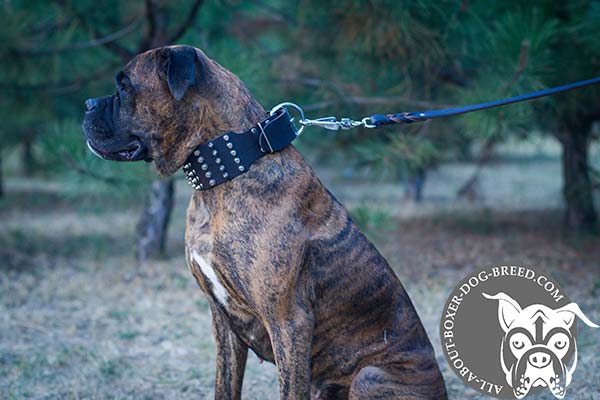 Reliable Leather Dog Collar for Boxer