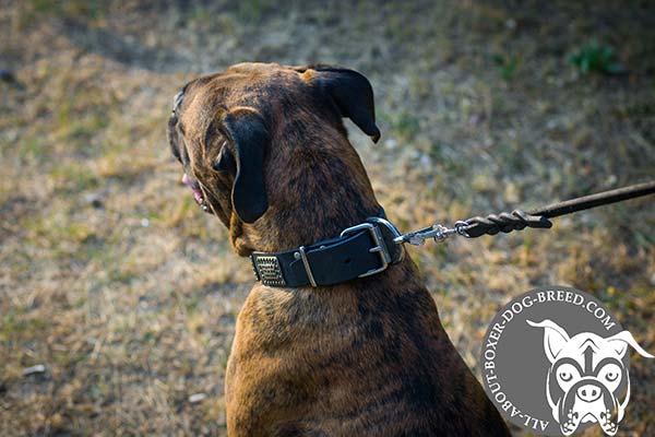 Leather Dog Collar with Strong Buckle and D-Ring for Boxer