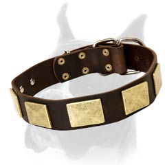 Extra Strong Leather Collar with Massive Nickel Fittings