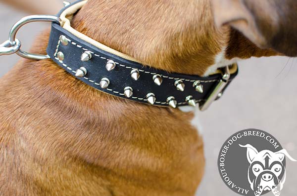 Leather Collar with Nickel Plated D-Ring for Boxer