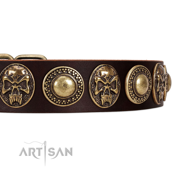 Full grain genuine leather dog collar with embellishments for stylish walking