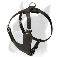 Comfortable and Strong Boxer Harness