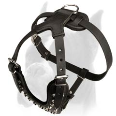Comfortable Harness with Chest padding