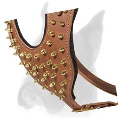 Harness decorated with Gold-like spikes