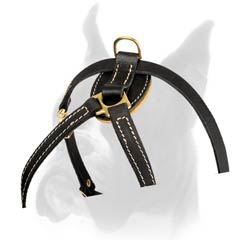 Luxury Puppy Harness for Style