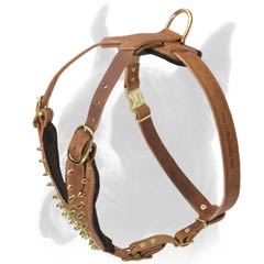 Harness with Rust-proof Brass hardware