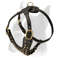 Harness with Extraordinary Brass decoration