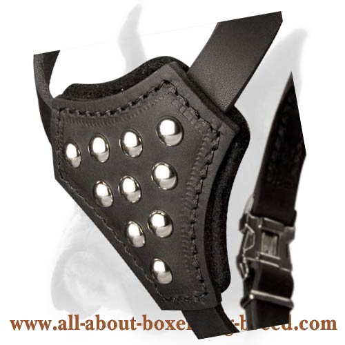 Universal Boxer leather Dog Harness