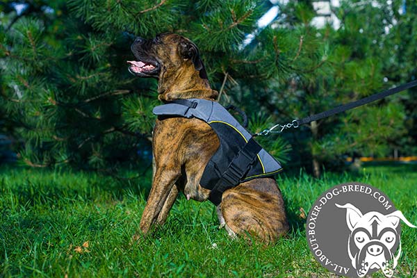 Boxer nylon harness with strong quick release buckle for any weather walks