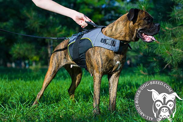 Boxer nylon harness of any weather material with handle for rehabilitation