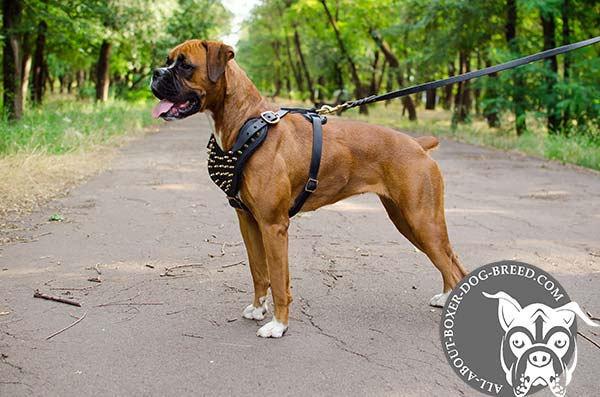Reliable Leather Boxer Harness for Any Activity 