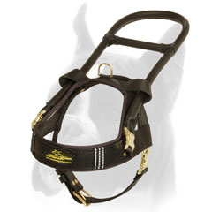 Guiding Leather Boxer Harness