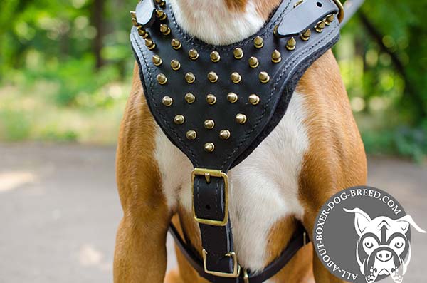 Decorated Leather Boxer Harness