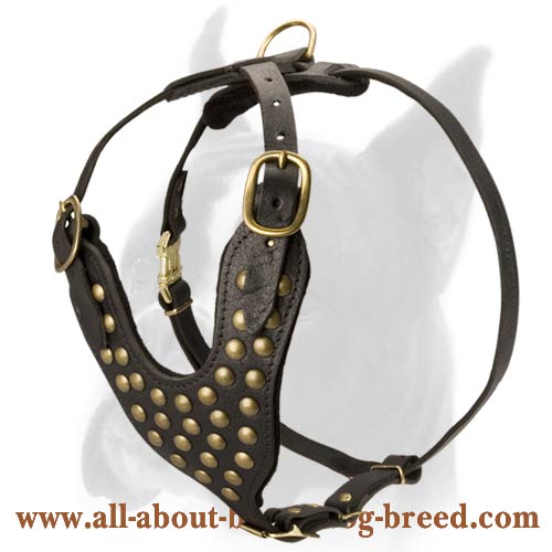 Best leather best sale dog harness