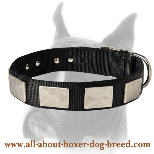 Boxer dog hot sale belt